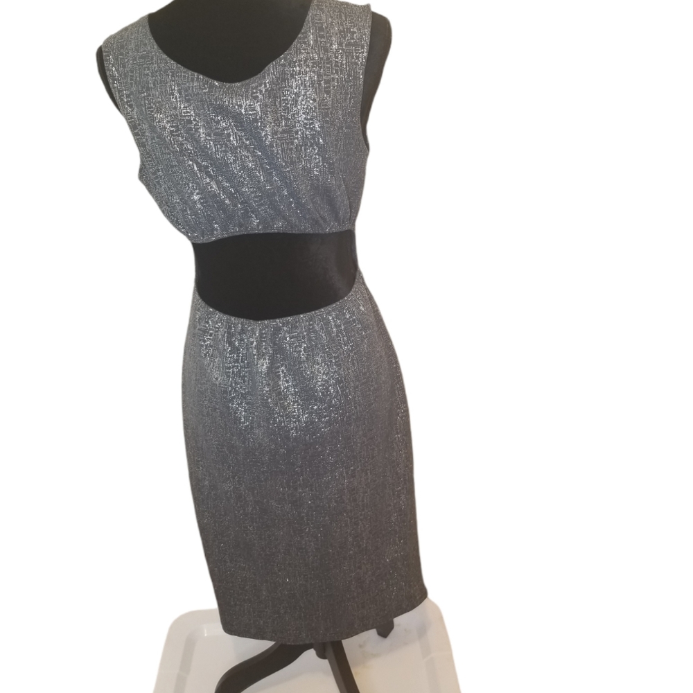Silver Open-Back Bodycon - Picture 3 of 6